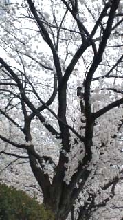 e0063270_17322530.jpg