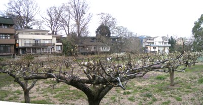 c0112172_365096.jpg