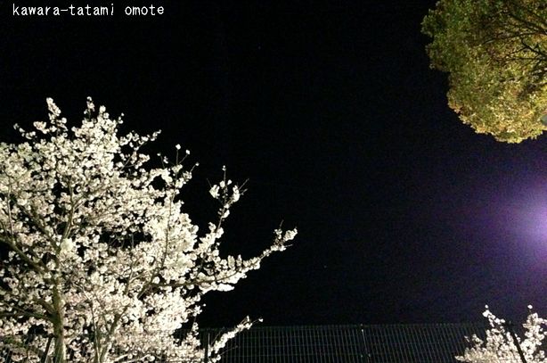 d0244977_1115497.jpg