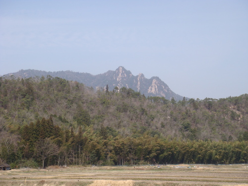 f0223480_1755592.jpg