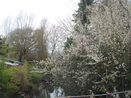 a0247585_9565240.jpg