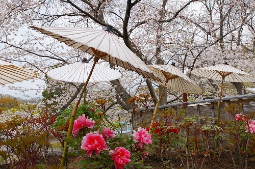 b0151390_22181298.jpg