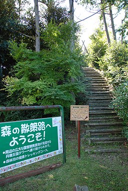 f0131491_13432025.jpg