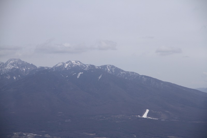 a0090292_1618534.jpg