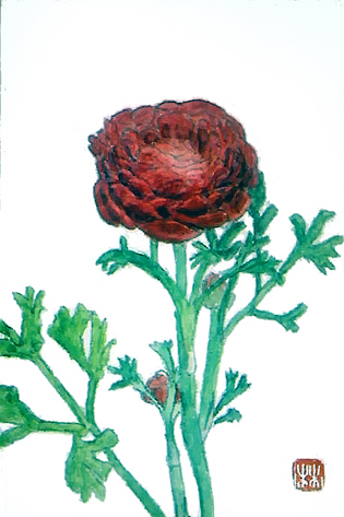 f0008597_8535363.jpg