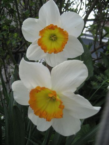 f0201297_10162912.jpg