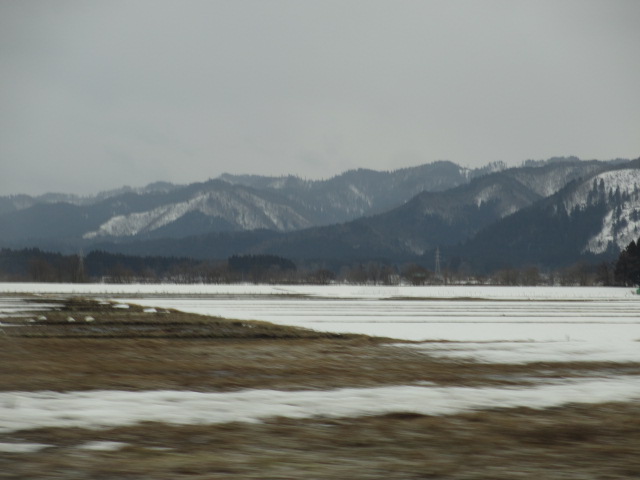 a0193698_2011721.jpg