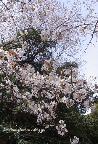e0145301_9152321.jpg