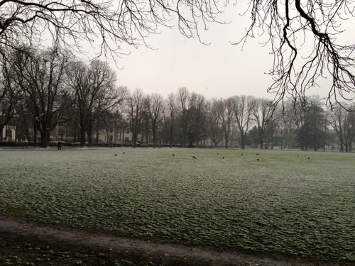 b0203203_591478.jpg