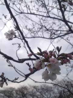 b0085408_0101389.jpg