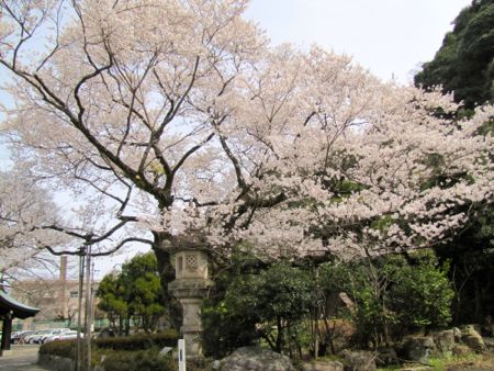 b0051109_10191827.jpg