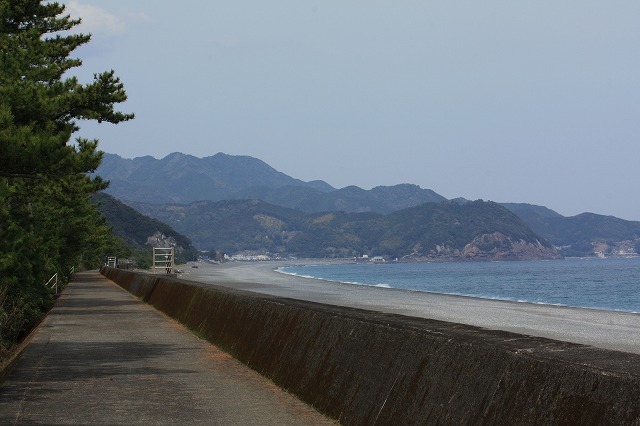 d0154609_13252331.jpg