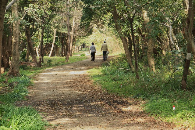 d0154609_13283258.jpg