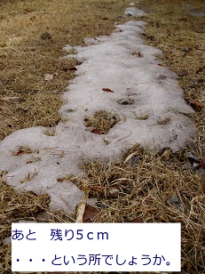 b0200310_11375815.jpg