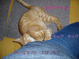 b0200310_1244587.jpg