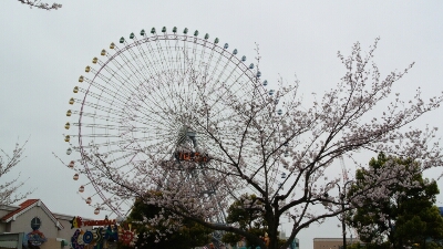 b0236618_16484898.jpg
