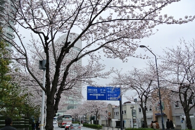 b0236618_16495492.jpg
