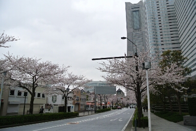 b0236618_16501959.jpg