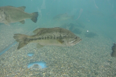 b0236618_16582389.jpg