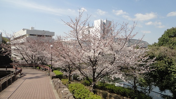 f0000521_19443611.jpg