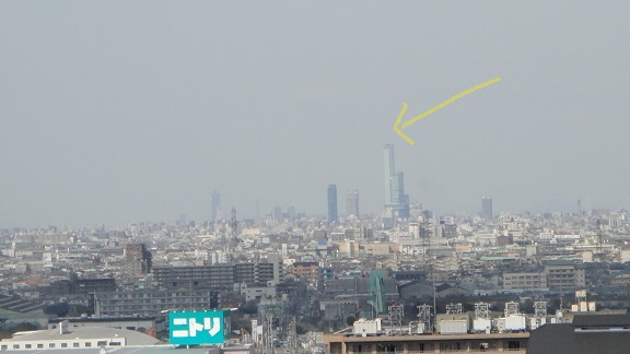 f0000521_2049359.jpg