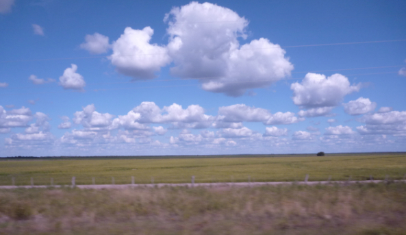 a0050227_20494542.jpg