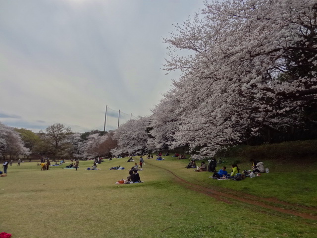e0016828_11294040.jpg