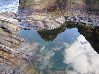 c0051529_11504283.jpg