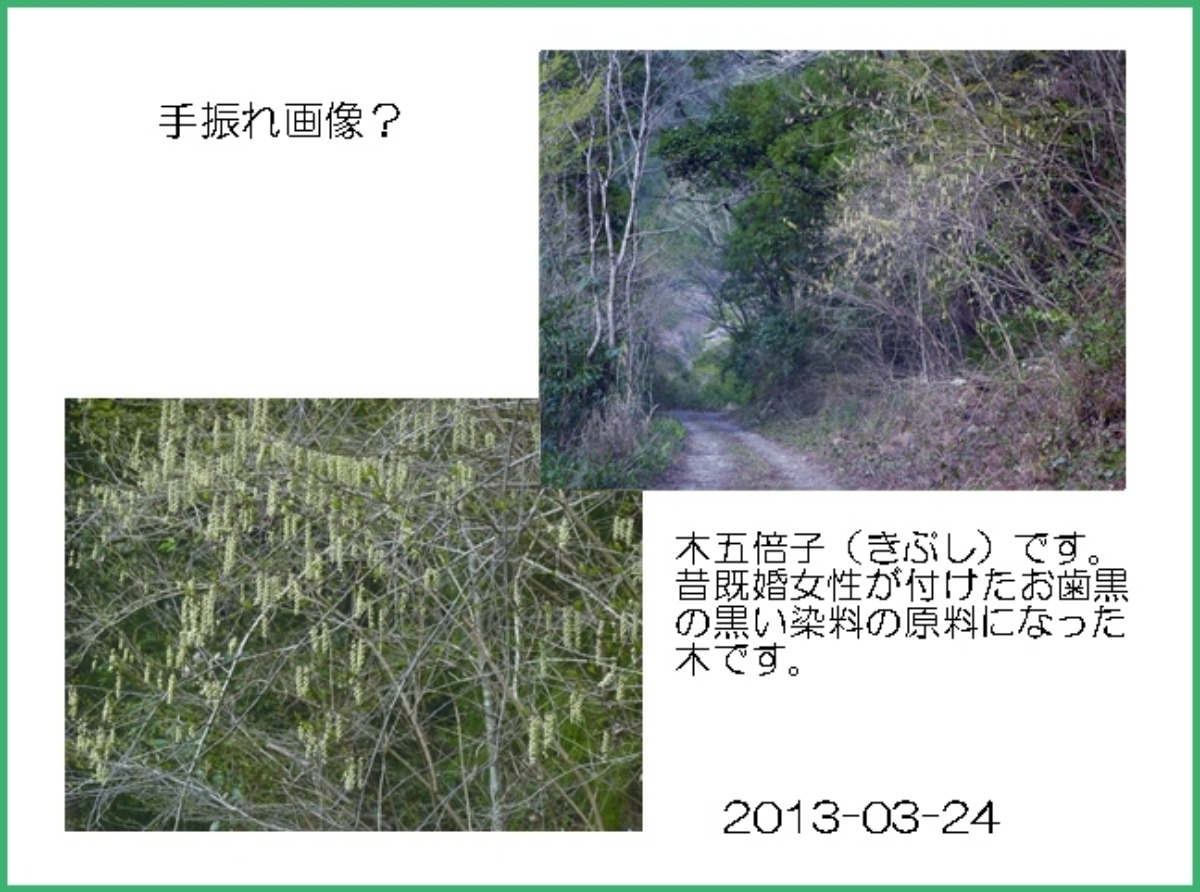 e0033229_22281621.jpg