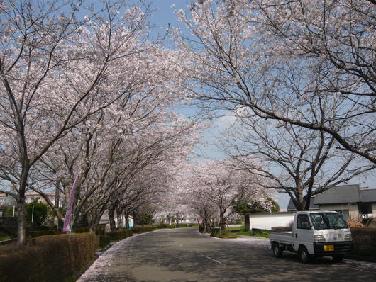 a0206332_726329.jpg