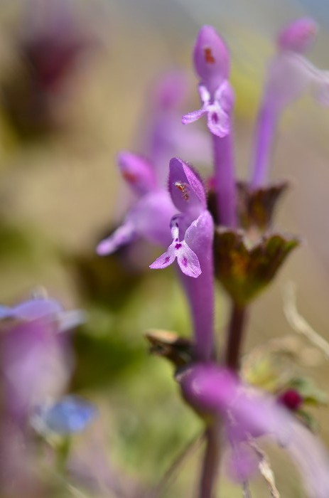 b0236334_2012453.jpg