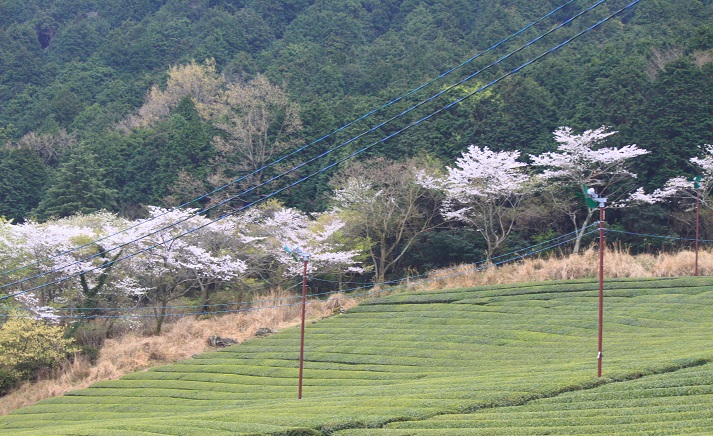 b0184636_14122692.jpg