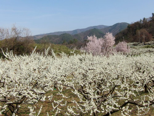 b0178339_19461523.jpg