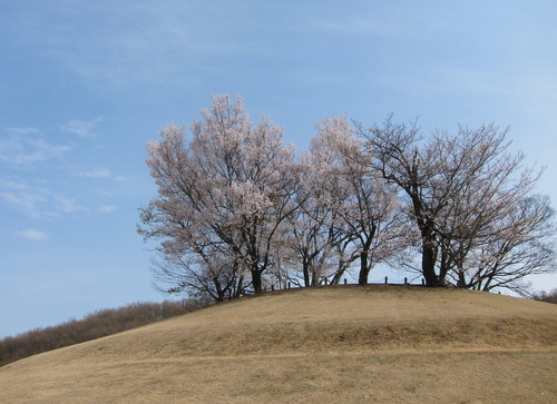b0178339_1955798.jpg