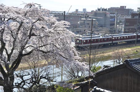 a0100742_7125092.jpg