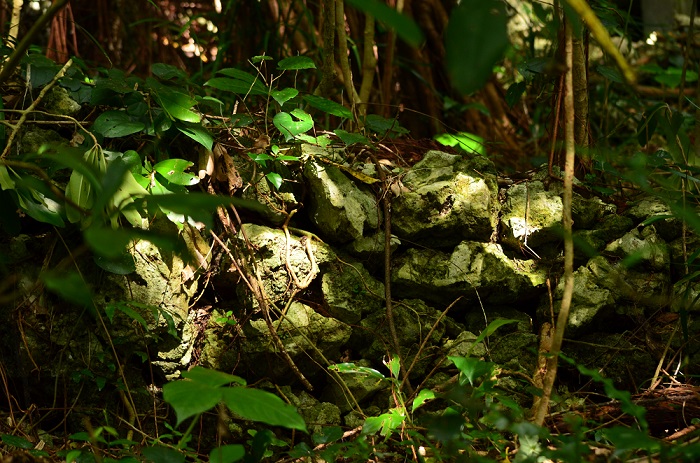 b0288942_11184621.jpg