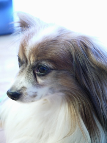 e0100046_18395518.jpg