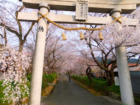 f0213347_20105778.jpg