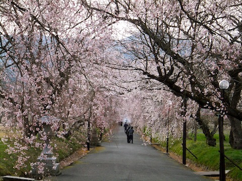 f0213347_20111538.jpg