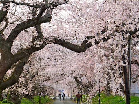 f0213347_2011912.jpg
