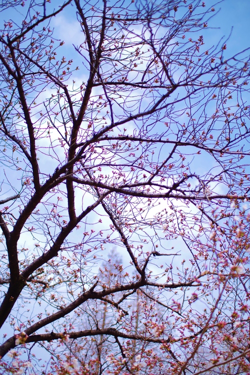a0299749_2163829.jpg