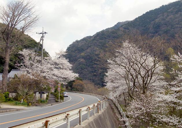 f0214649_5224325.jpg