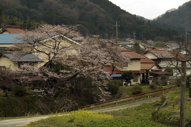 f0214649_5313449.jpg