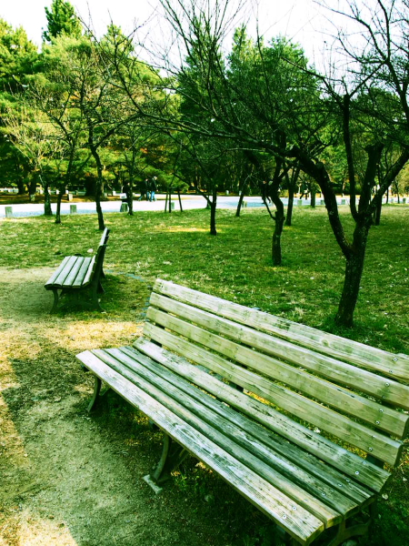 a0024250_23355039.jpg