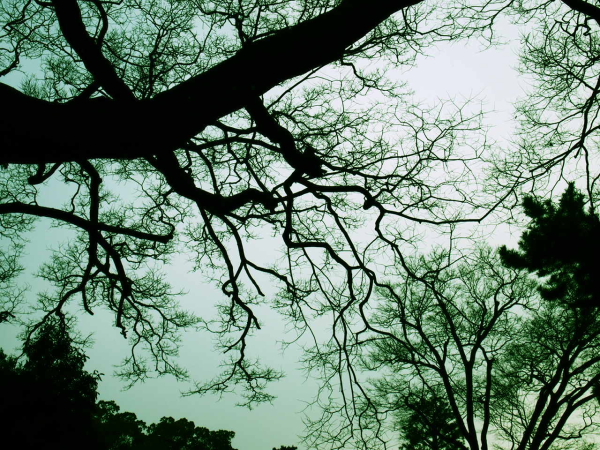 a0024250_23363170.jpg