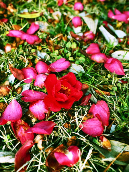 a0024250_23371710.jpg