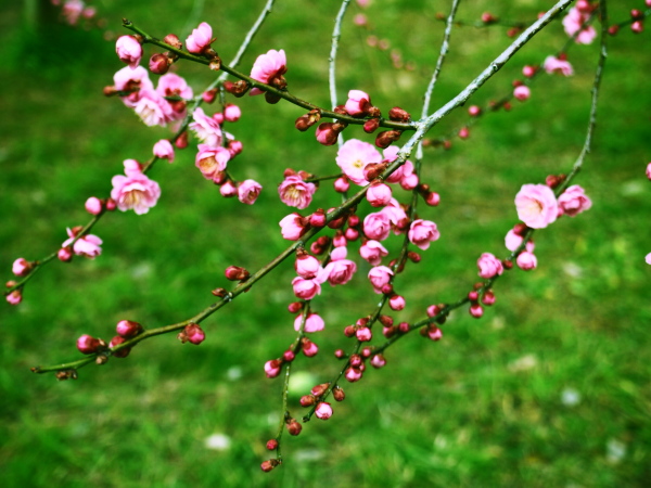 a0024250_2337258.jpg
