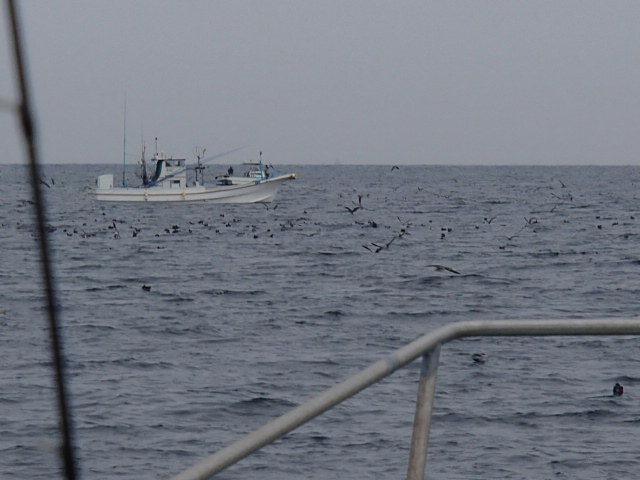 a0248152_18461624.jpg