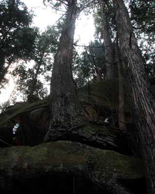 e0035757_23274777.jpg