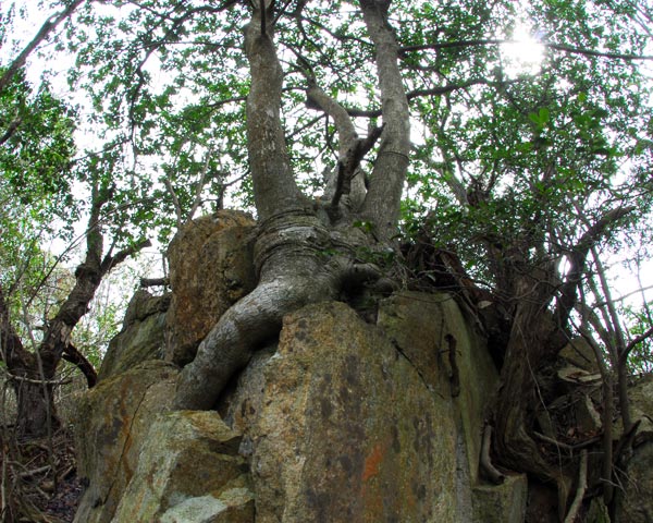 e0035757_23285014.jpg